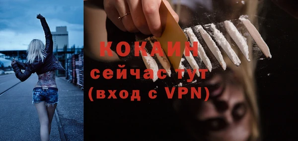 молекула духа Ростов