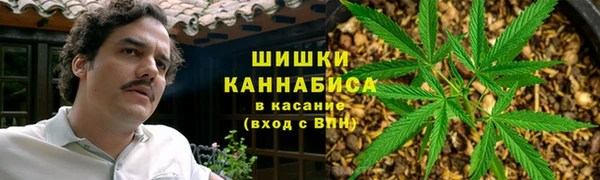 spice Кодинск