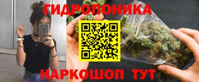 a pvp Будённовск