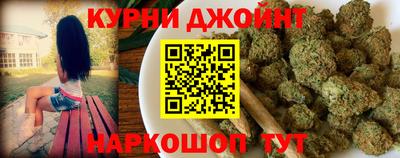 индика Кингисепп