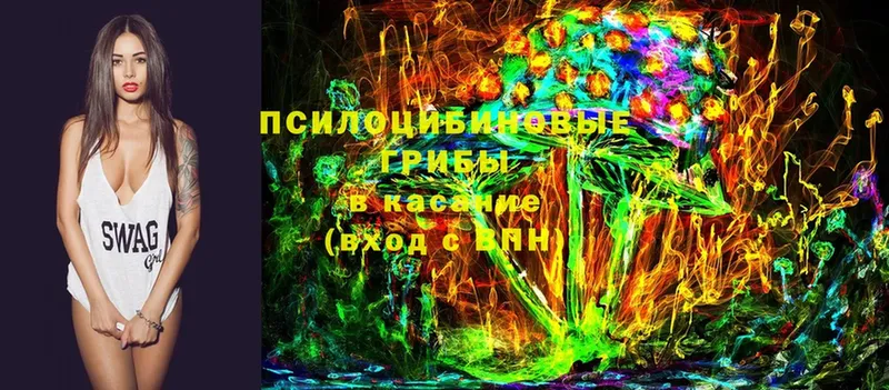 дарнет шоп  Кунгур  Галлюциногенные грибы Magic Shrooms 