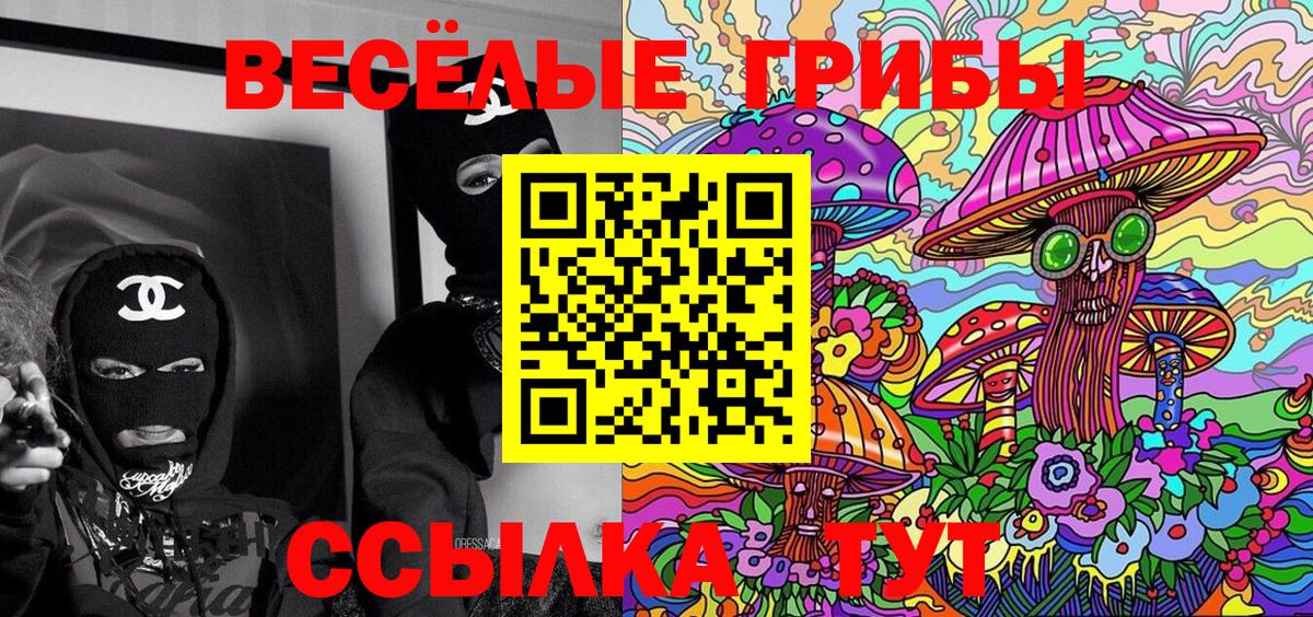 Галлюциногенные грибы Cubensis Кунгур