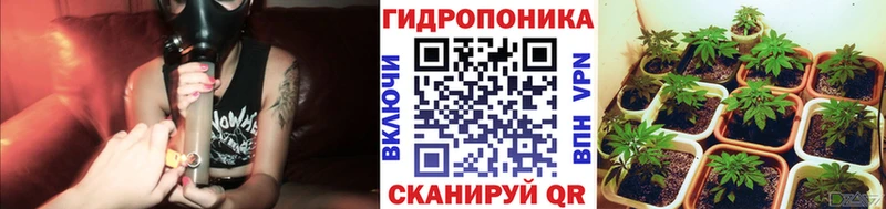 кракен маркетплейс  Кунгур  Марихуана семена  наркота 